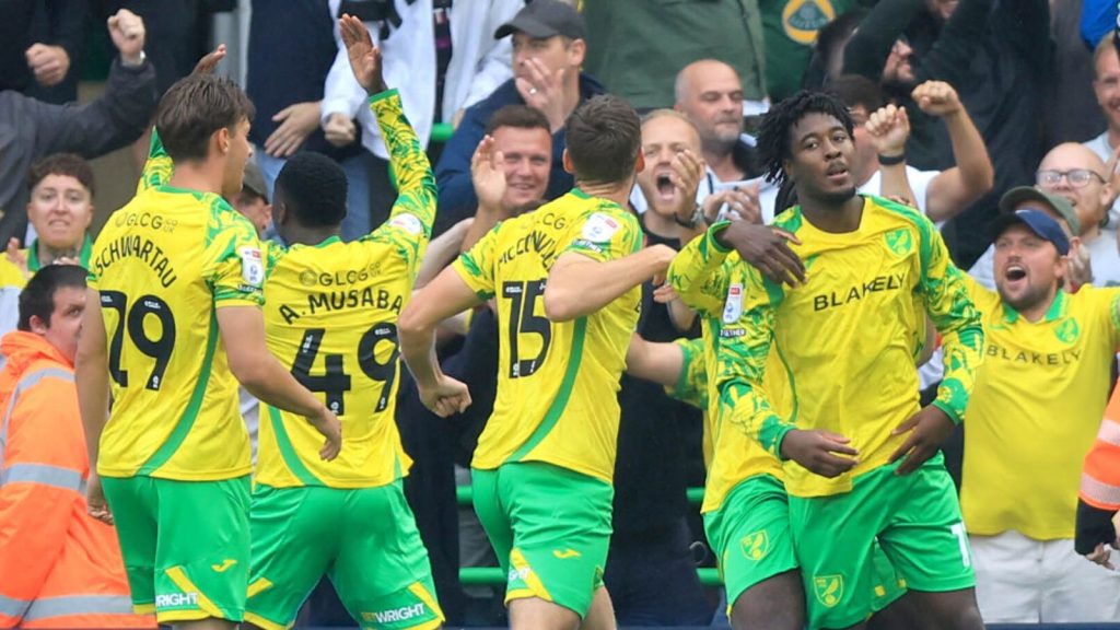 skysports-norwich-city_7334779.jpg