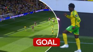 skysports-norwich-goal_7356966.jpg